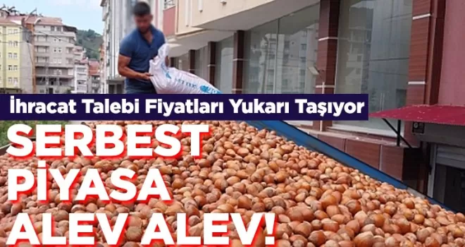 Fındıkta Serbest Piyasa Alev Alev!!
