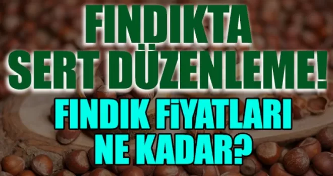 Fındıkta Sert Düzenleme! 