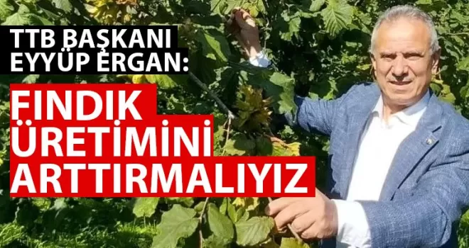 Fındıkta Verim Alarmı! Türkiye Üretim Alanını Artırdı, Verim Neden Yükselmiyor?