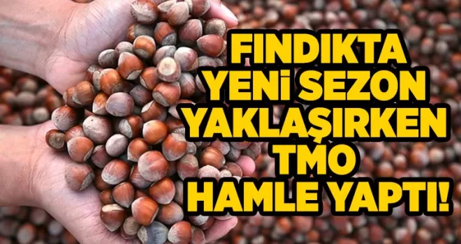 Fındıkta yeni sezon yaklaşırken TMO hamle yaptı!