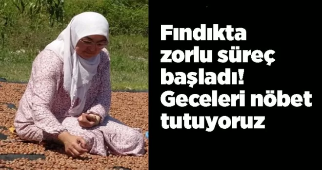 Fındıkta zorlu süreç başladı! ’’Geceleri nöbet tutuyoruz...’’