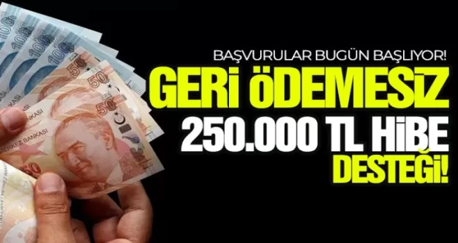 Geri ödemesiz 250 bin lira hibe desteğİ, başvurular bugün başlıyor!