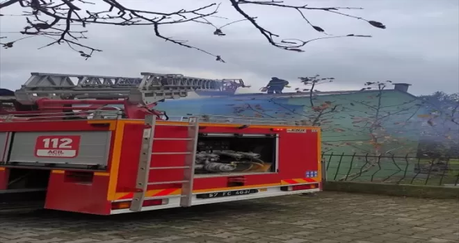 Gerze’de baca yangını itfaiye ekiplerince söndürüldü