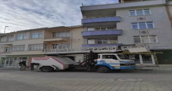 Gerze'de balkonda mahsur kalan kedi belediye ekiplerince kurtarıldı