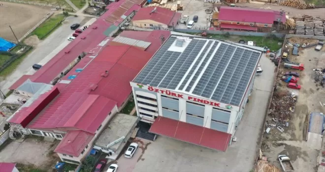 Giresun'da 3 fındık işleme tesisi enerjisini güneşten sağlıyor