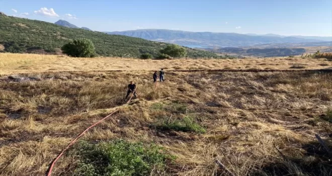 Giresun’da buğday ekili tarla yandı