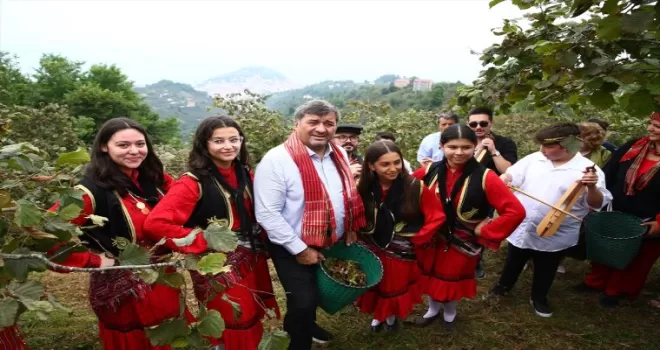 Giresun’da “Fındık Hasat Şenliği“ gerçekleştirildi