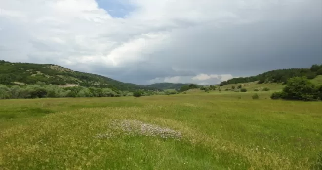 Giresun’da mera ıslah projeleri devam ediyor