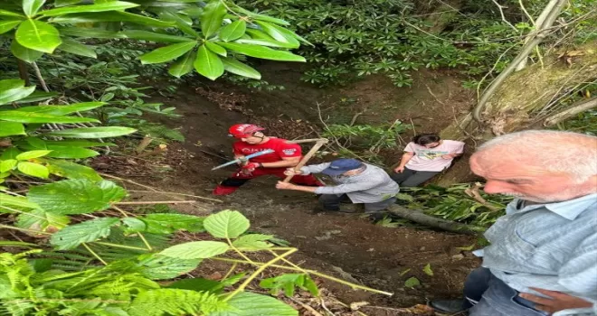Giresun’da uçuruma düşen inek kurtarıldı