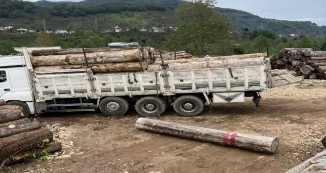 Giresun’da üzerine tomruk düşen kişi öldü