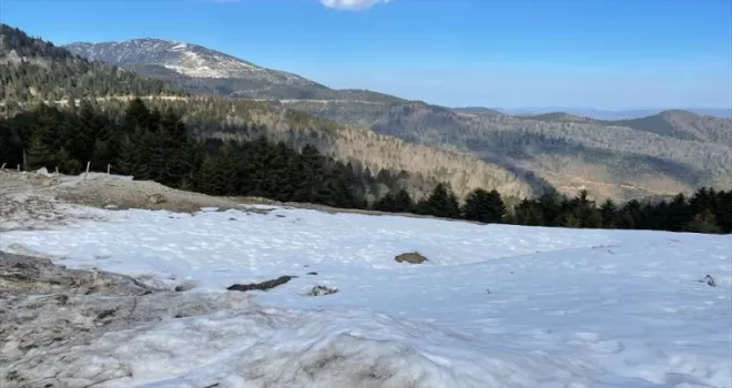 Giresun yaylalarında yazdan kalma günler yaşanıyor