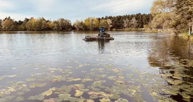 Gölcük Tabiat Parkı’ndaki göl, ot ve yosunlardan temizleniyor
