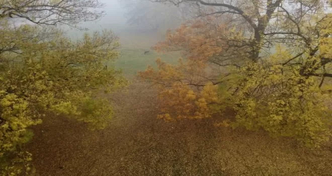 Gölyaka Kültür Park'ta sis sonbaharın güzellikleriyle buluştu