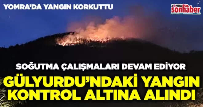 Gülyurdu’ndaki Yangın  Kontrol Altına Alındı