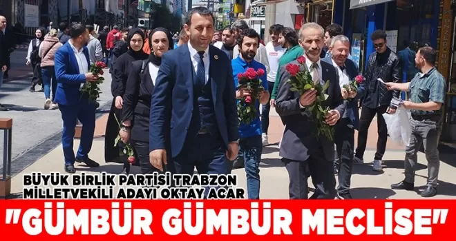 “GÜMBÜR GÜMBÜR MECLİSE“ 