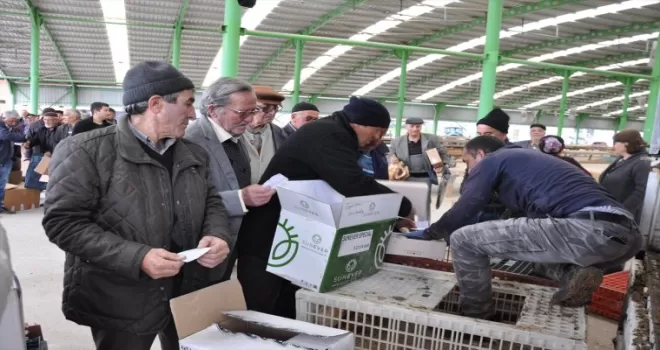 Gümüşhacıköy Ziraat Odası çiftçilere tavuk, ördek ve civciv dağıttı
