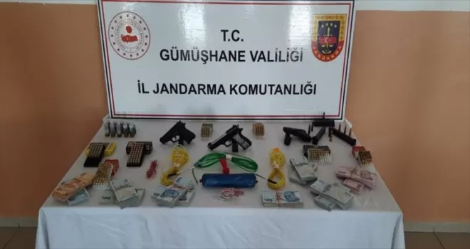 Gümüşhane'de kaçak silah operasyonunda 2 kişi yakalandı