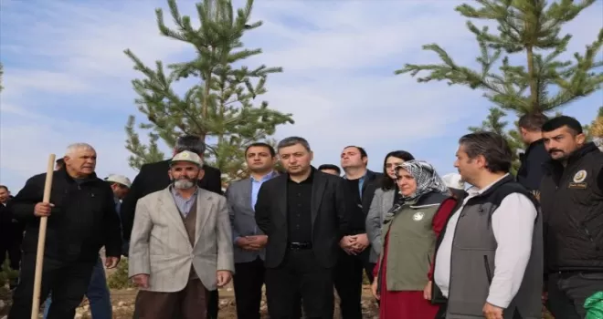 Gümüşhane’de örtü yangınında ölen kişinin anısına hatıra ormanı oluşturuldu