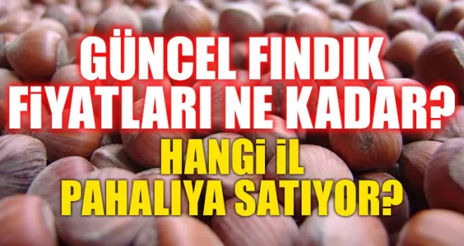 Güncel Fındık Fiyatları Ne Kadar? En Pahalı Hangi İl Satıyor?