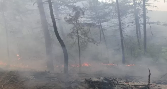 GÜNCELLEME - Bolu’da çıkan orman yangınına müdahale ediliyor