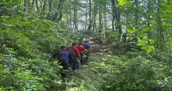 Haber alınamayan bekçinin bulunması için Kastamonu’da çalışma yürütülüyor