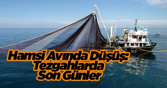 Hamsi Avında Düşüş: Tezgahlarda Son Günler
