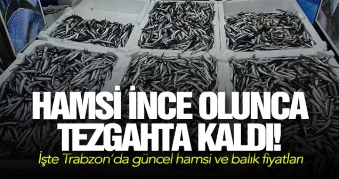 Hamsi ince olunca tezgahta kaldı!