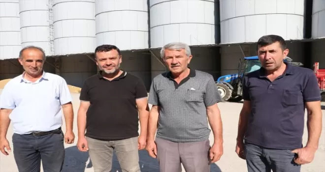 Havza’da TMO alımları devam ediyor