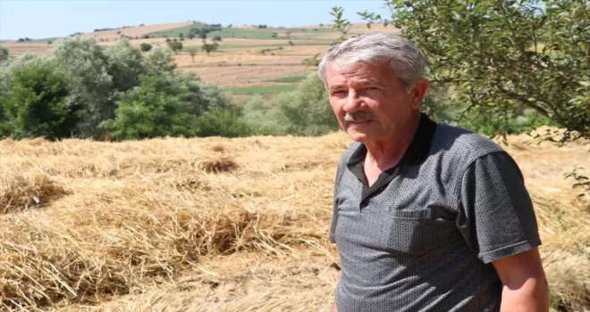 Havza Ziraat Odası’ndan hububatta dane kaybı ve anız yakma uyarısı