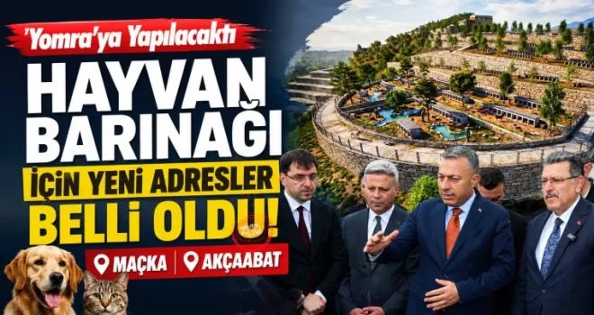 Hayvan Barınağı İçin Yeni Adresler Belli Oldu