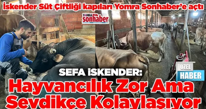 Hayvancılık Zor Ama  Sevdikçe Kolaylaşıyor