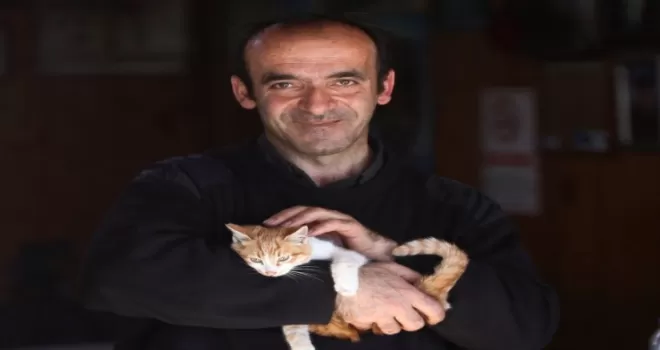 Hıdırnebi Yaylası'nda kediler üşümesin diye her gün soba yakıyor
