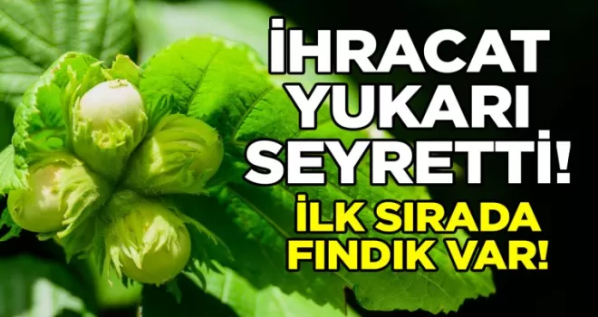 İhracat yukarı seyretti! Listenin başında fındık var