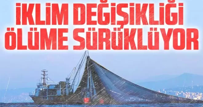  İklim değişikliği Karadeniz’i ölüme sürüklüyor