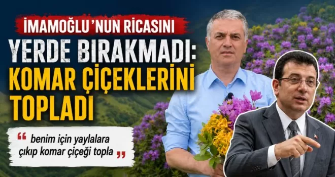 İmamoğlu’nun Ricasını Yerde Bırakmadı: Komar Çiçeklerini Topladı