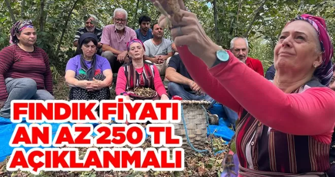 Fındık Fiyatını Hemen En Az 250 TL Olarak Açıklayın