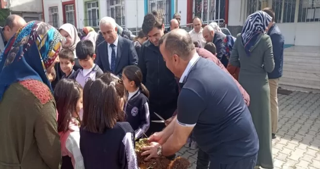 İskilip’te öğrencilere çilek yetiştiriciliği eğitimi verildi