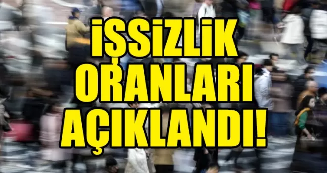 İşsizlik oranı Kasım 2024’te yüzde 8,6 oldu