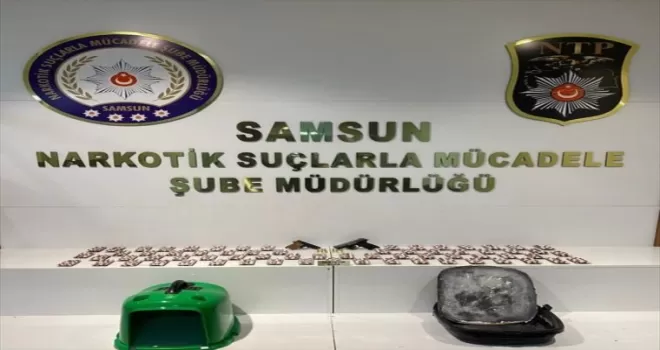 İstanbul’dan Samsun’a uyuşturucu madde getiren kişi tutuklandı