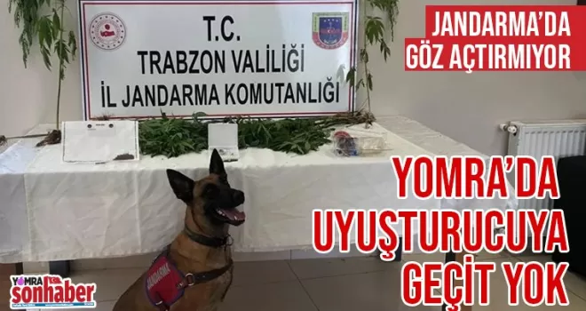 Jandarmadan Uyuşturucuya Geçit Yok..