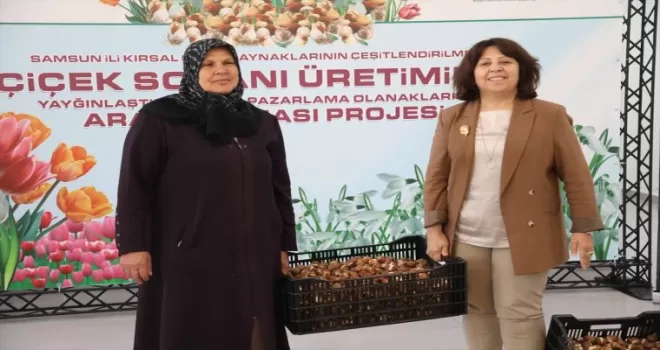 Kadınlar lale üreterek hem gelir elde edecek hem ekolojik dengeyi koruyacak