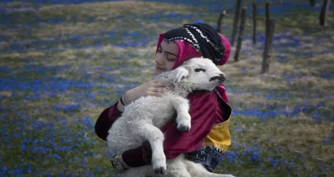 Kadıralak Yaylası “mavi yıldız“larla kaplandı