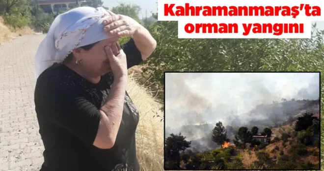 Kahramanmaraş’ta orman yangını