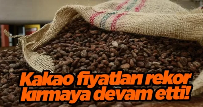 Kakao fiyatları rekor kırmaya devam etti! 