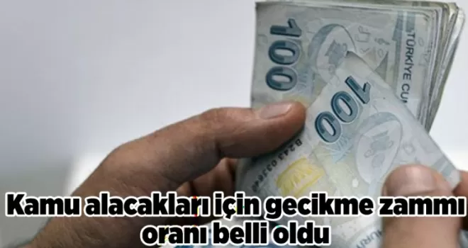 Kamu alacakları için gecikme zammı oranı belli oldu