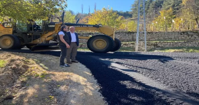 Karabük İl Genel Meclis Başkanı Sözen, yol çalışmalarını inceledi
