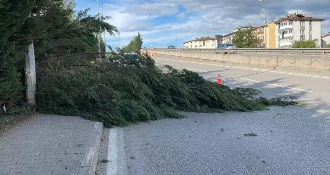 Karabük-Safranbolu kara yoluna devrilen ağaçlar kaldırıldı