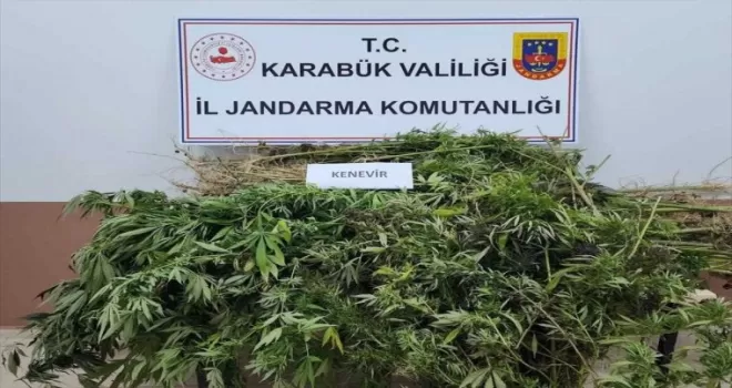 Karabük'te 1 kilogram esrar ve 96 kök kenevir ele geçirildi
