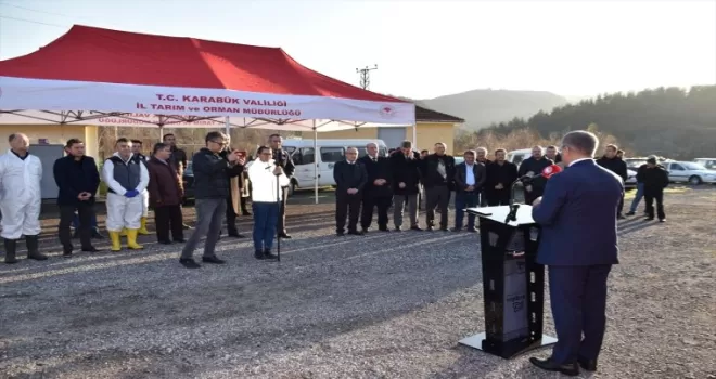 Karabük'te çiftçilere hibe destekli keçi ve teke dağıtıldı