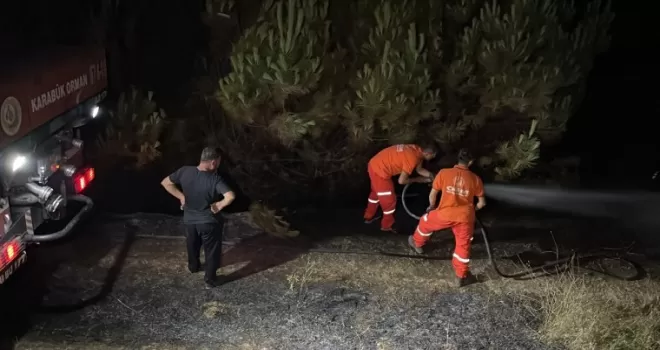 Karabük’te çıkan örtü yangını söndürüldü